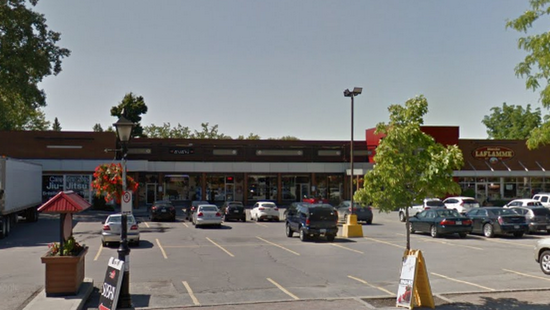 Header image for the site